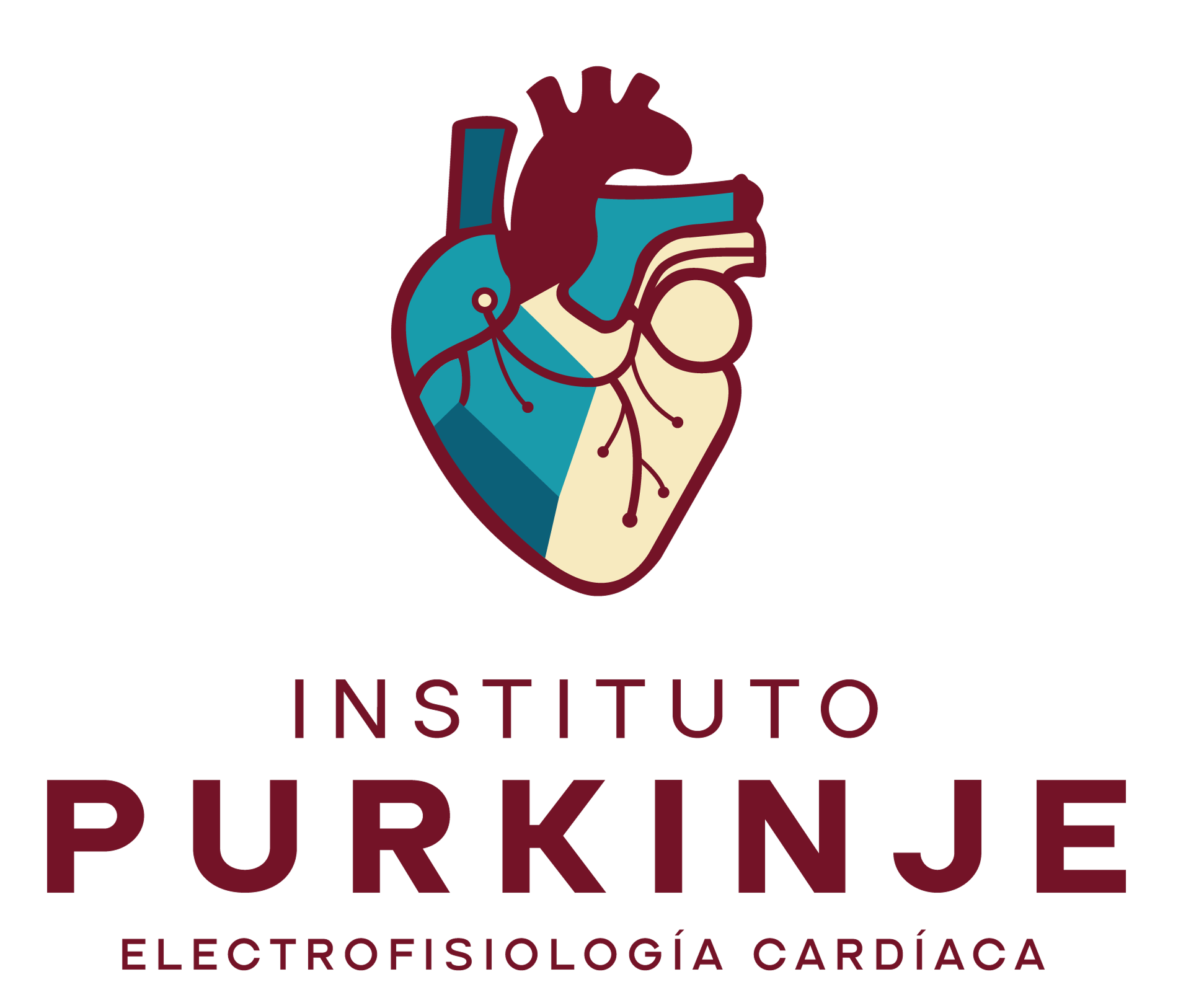 logo-cardiologo-y-electrofisiologo-cardiaco.png